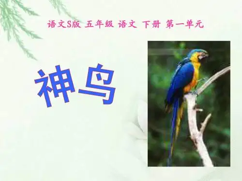 五年级下册《神鸟》PPT