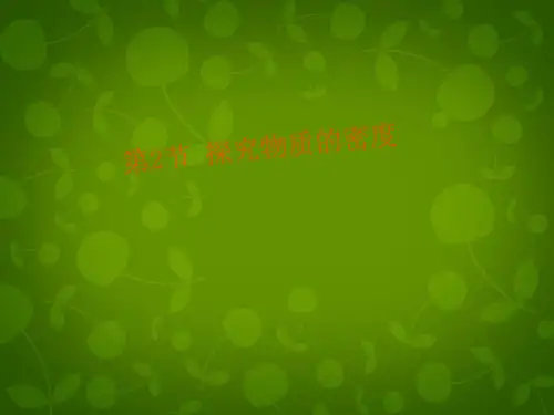 沪粤版八年级上册物理  5.2 探究物质的密度 课件   (共21张PPT)