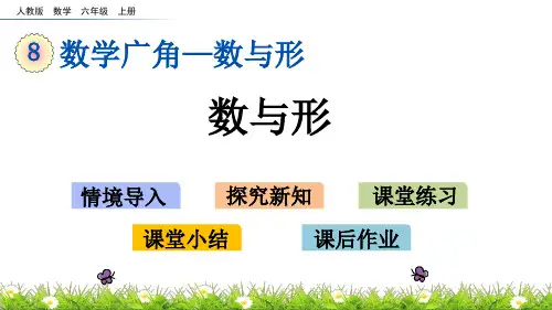 人教版六年级上册数学教学课件：8.1 数学广角-数与形