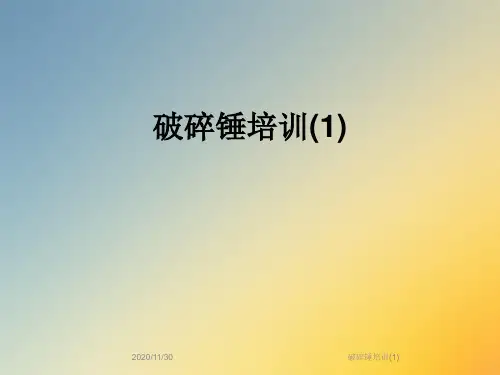 破碎锤培训(1)