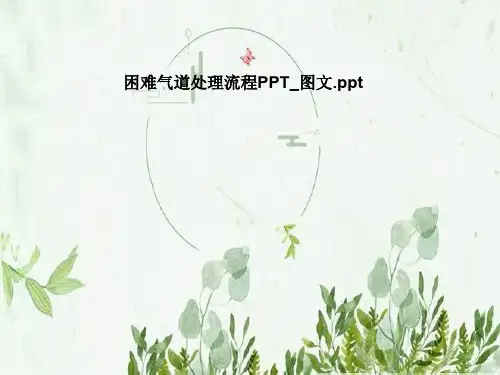 困难气道处理流程PPT_图文