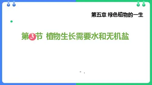 《植物生长需要水和无机盐》PPT课件