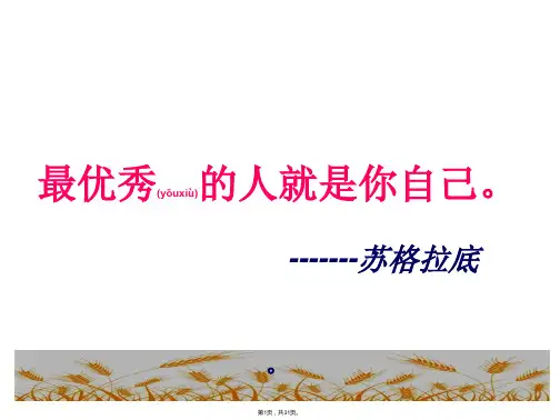 16《最大的麦穗》ppt课件(公开课完整版)(共31张)