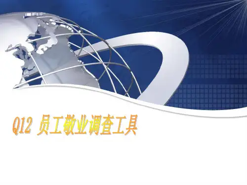 Q12员工敬业度调查工具