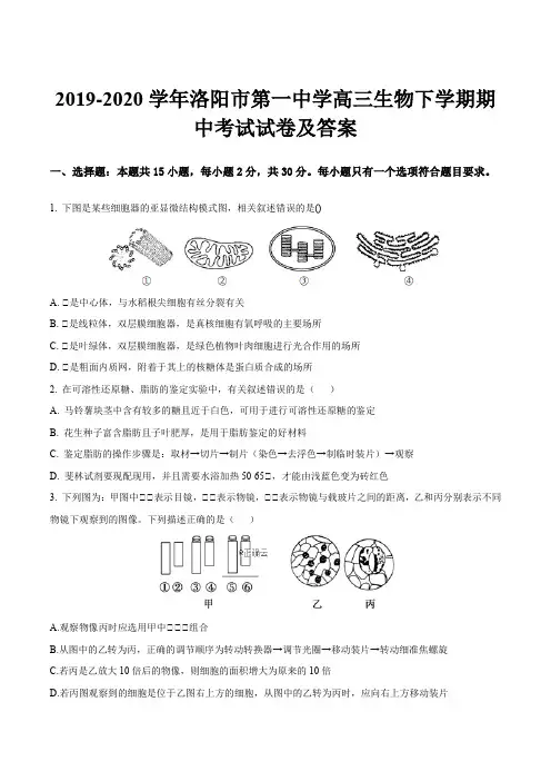 2019-2020学年洛阳市第一中学高三生物下学期期中考试试卷及答案