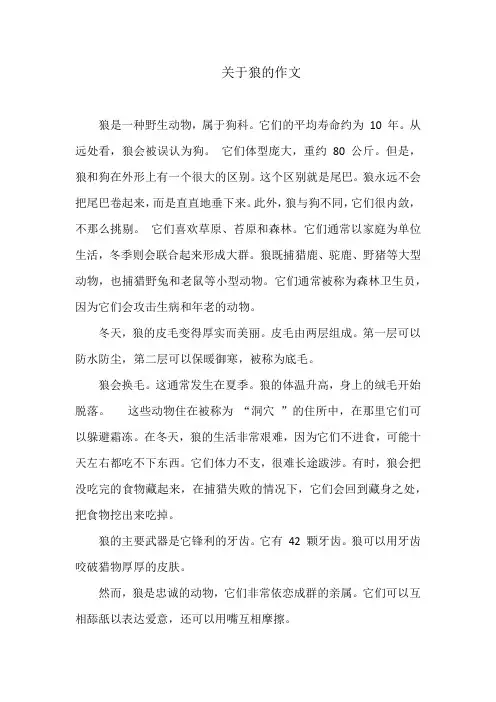 关于狼的作文