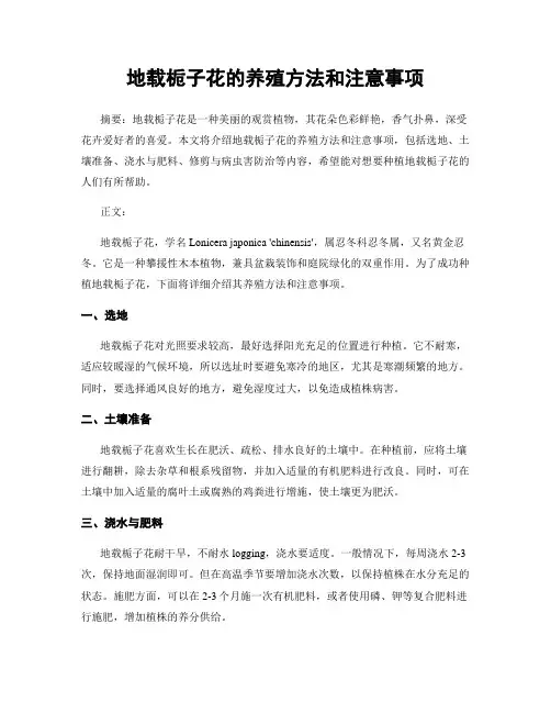 地载栀子花的养殖方法和注意事项