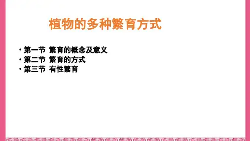 三年级下册科学课件-《植物的多种繁殖方式》北京课改版