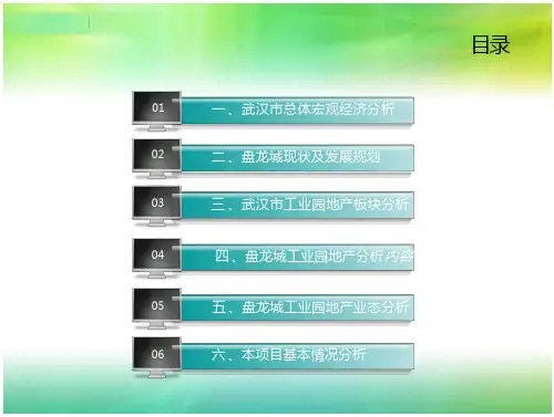 盘龙城产业园市场调研报告