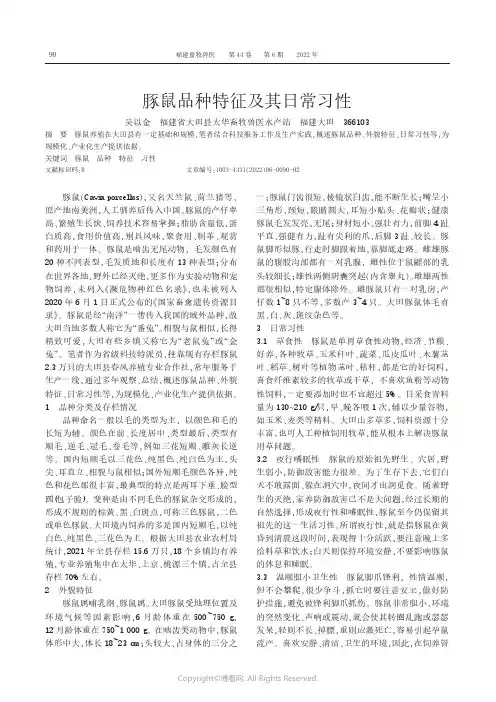 豚鼠品种特征及其日常习性