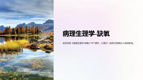 《病理生理学-缺氧》课件