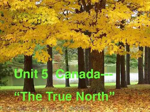 Unit3 Canada The True North PPT课件