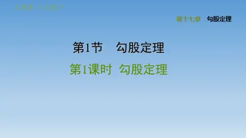 2020春人教版八年级数学下册 第17章 全章习题(付,167) 典中习题