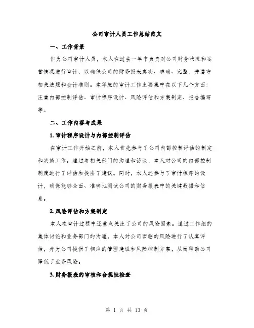 公司审计人员工作总结范文（5篇）