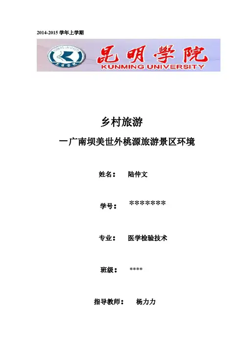 广南坝美世外桃源旅游景区环境