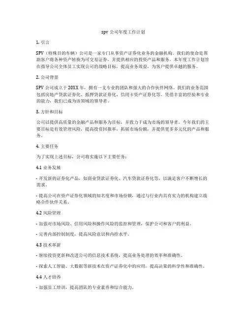 spv公司年度工作计划