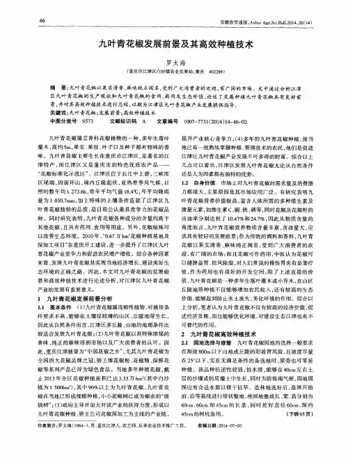 九叶青花椒发展前景及其高效种植技术