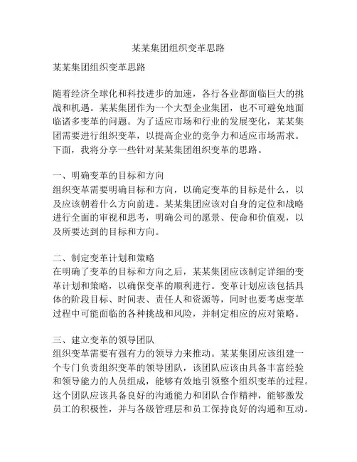 某某集团组织变革思路