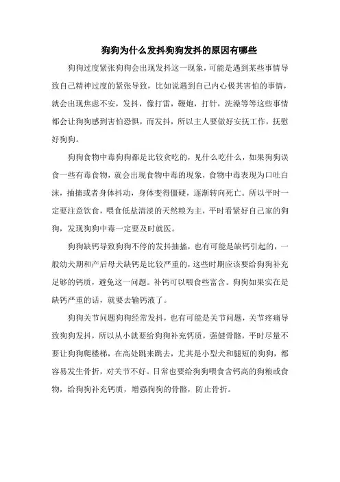 狗狗为什么发抖狗狗发抖的原因有哪些