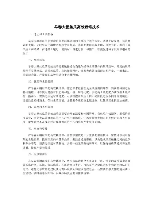 早春大棚丝瓜高效栽培技术