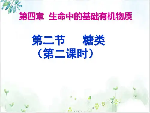 《糖类》PPT全文课件【人教版】