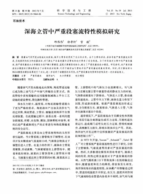 深海立管中严重段塞流特性模拟研究