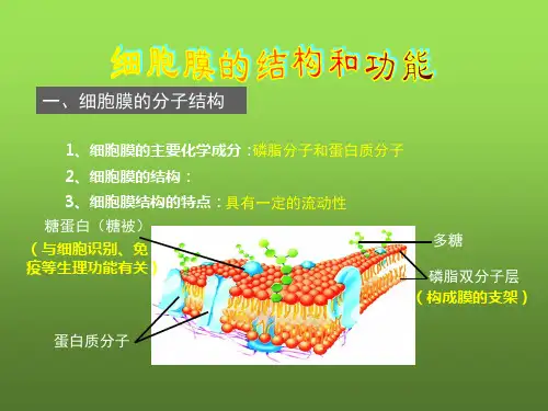 初中生物上学期竞赛 人体新陈代谢课件