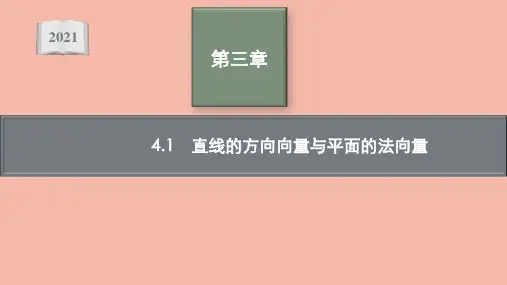 新教材高中数学第三章空间向量与立体几何直线的方向向量与平面的法向量课件北师大版选择性必修第一册ppt