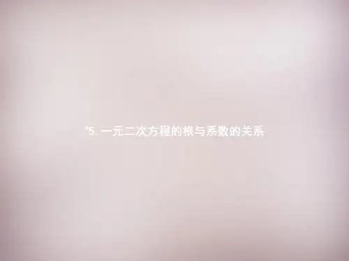 【北师大版】九年级数学上册：2.5《一元二次方程的根与系数的关系》ppt课件