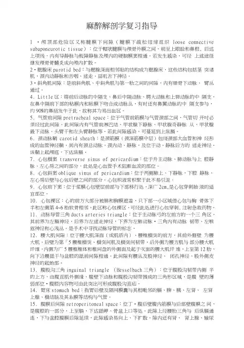 麻醉解剖学复习指导.doc