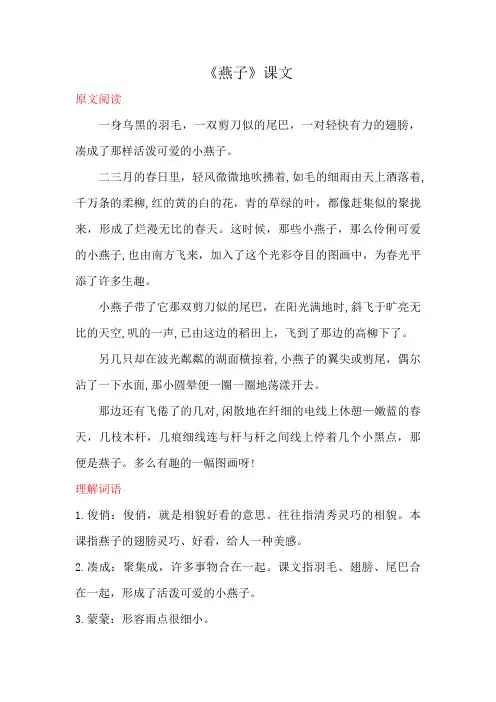 燕子课文三年级