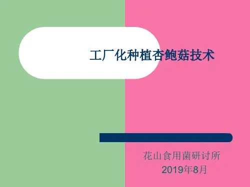 工厂化杏鲍菇栽培技术ppt课件