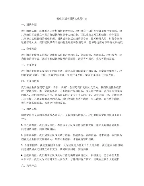 创业计划书团队文化是什么