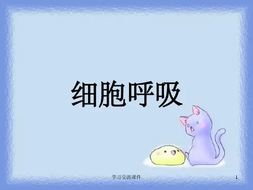 高三一轮复习课件—细胞呼吸课件
