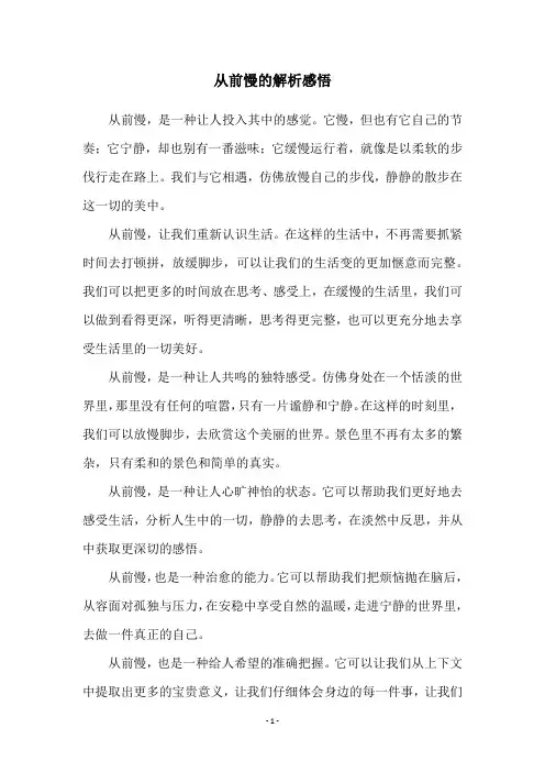 从前慢的解析感悟