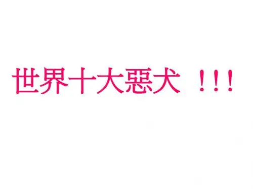 世界十大恶犬 !!!
