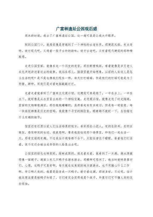 广富林遗址公园观后感