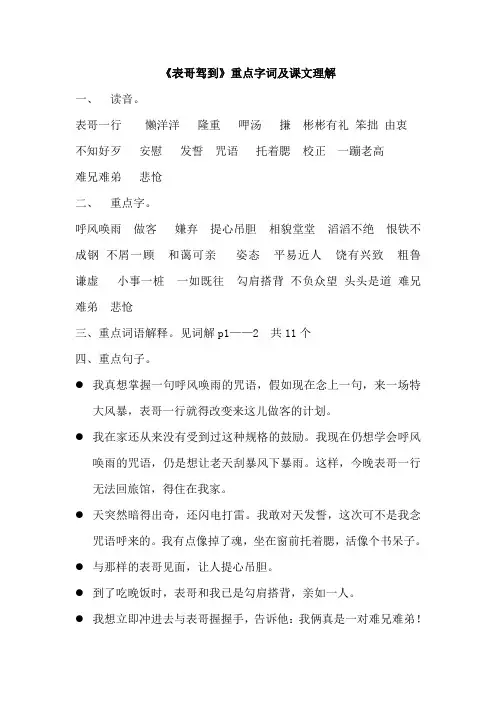 《表哥驾到》考点：重点词汇以及课文理解