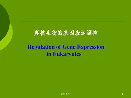 真核生物的基因表达与调控ppt课件