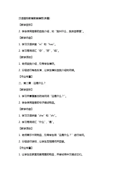 汉语国际教育教案模板(多篇)