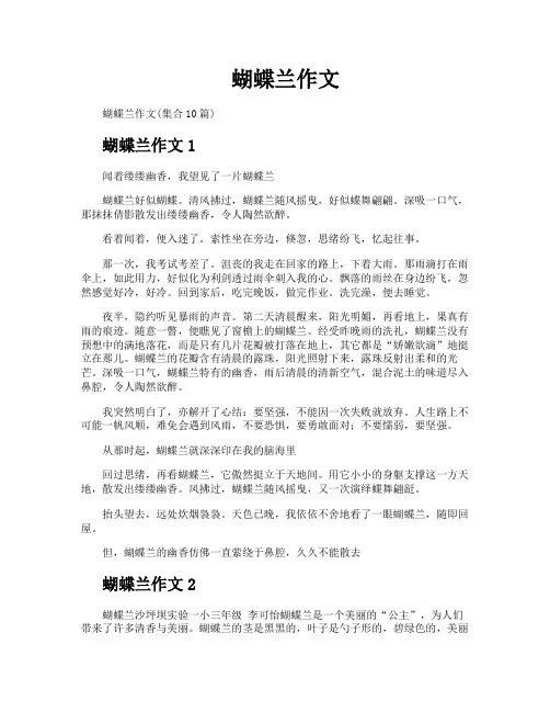 蝴蝶兰作文
