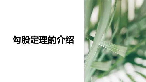 探索勾股定理(19张PPT)数学八年级上册