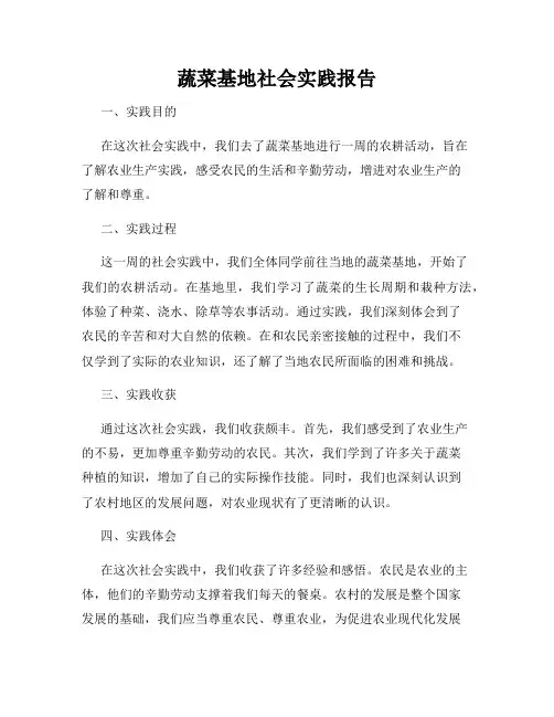 蔬菜基地社会实践报告