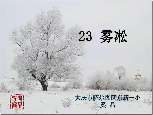 苏教版小学四年级上册语文：23雾凇