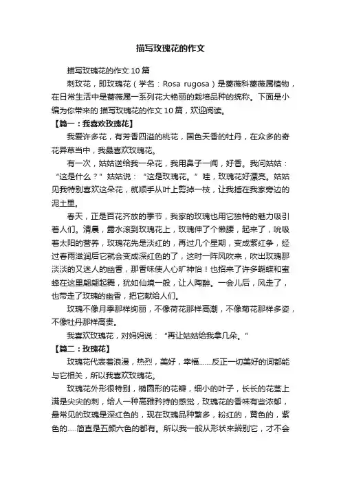 描写玫瑰花的作文10篇