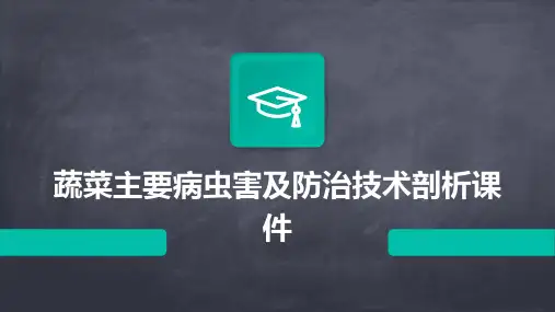 蔬菜主要病虫害及防治技术剖析课件
