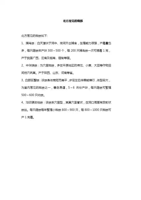北方常见的蜘蛛