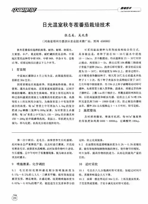 日光温室秋冬茬番茄栽培技术