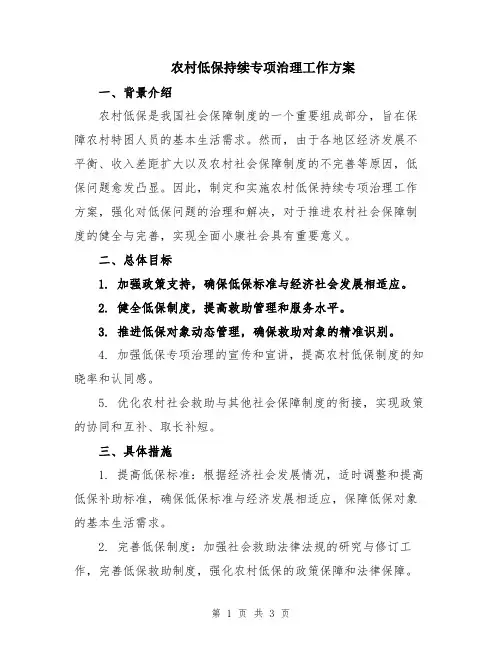 农村低保持续专项治理工作方案