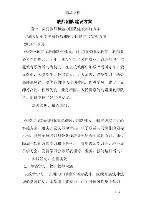 教师团队建设方案